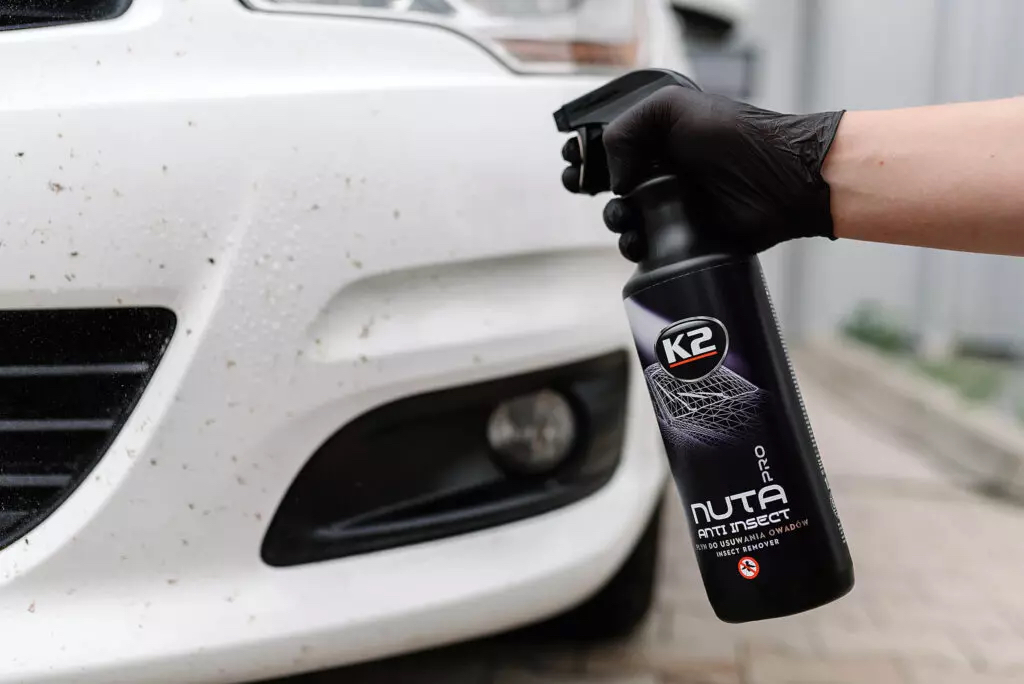 odstranenie-hmyzu-z-kapoty